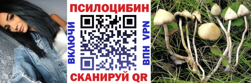 закладки  OMG ONION  Псилоцибиновые грибы мицелий  Воронеж 