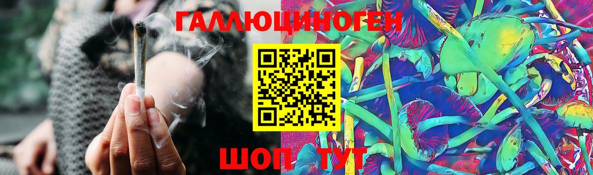 Псилоцибиновые грибы Psilocybe Воронеж